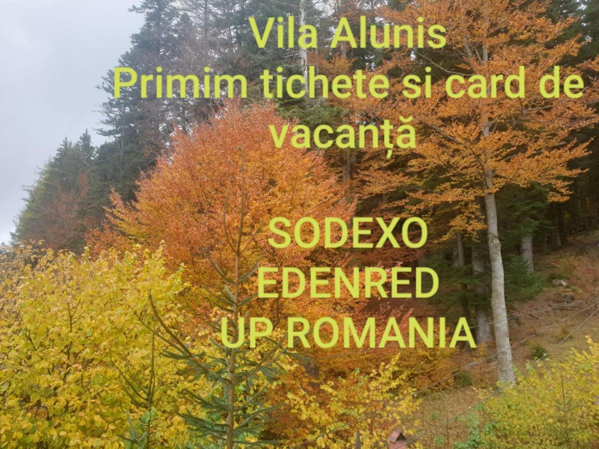 Vila Alunis Buşteni Exterior foto