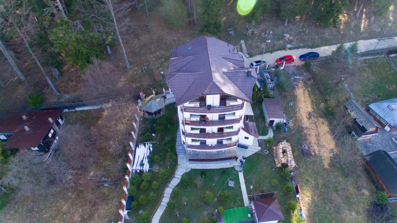 Vila Alunis Buşteni Exterior foto