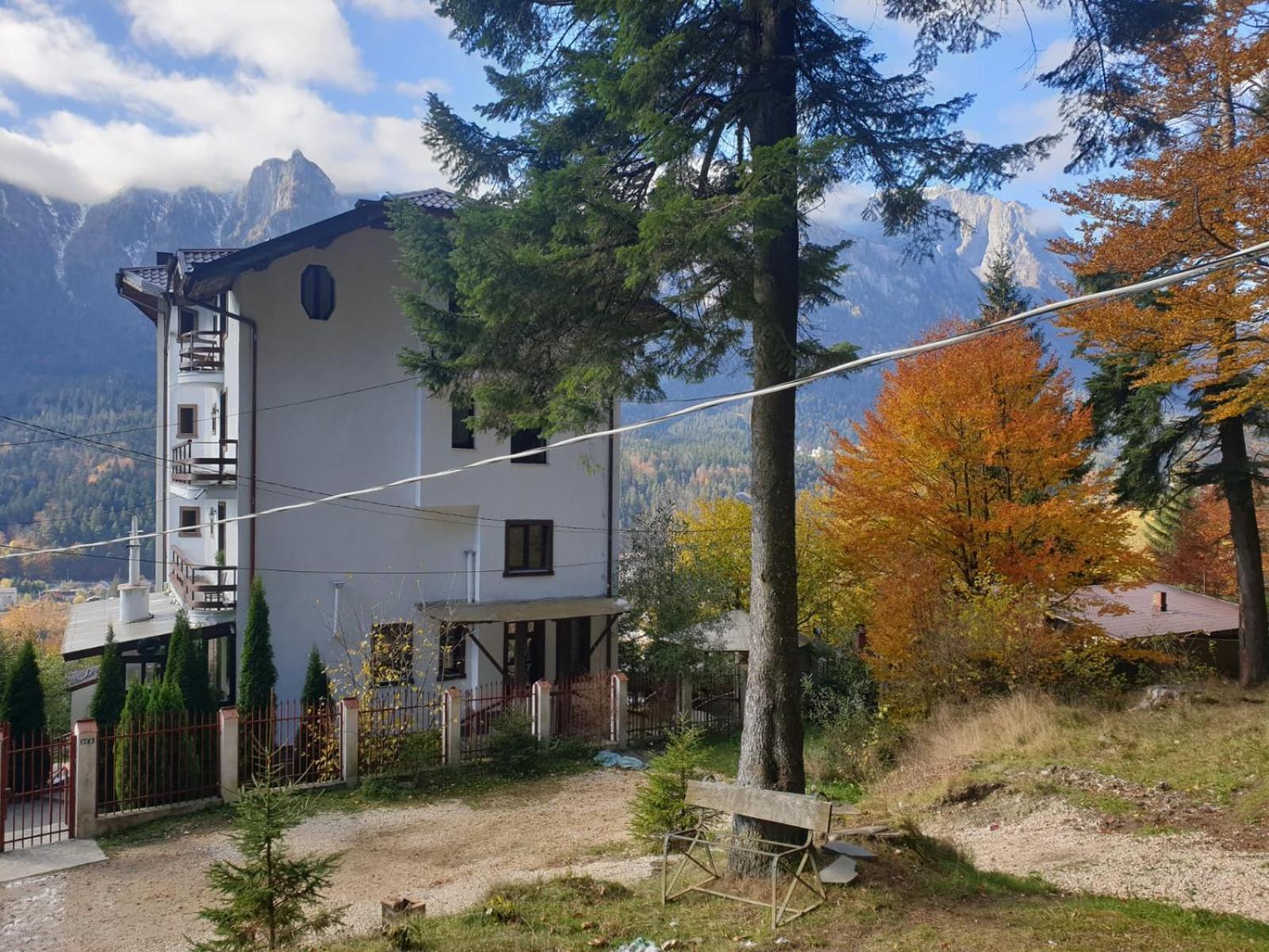 Vila Alunis Buşteni Quarto foto